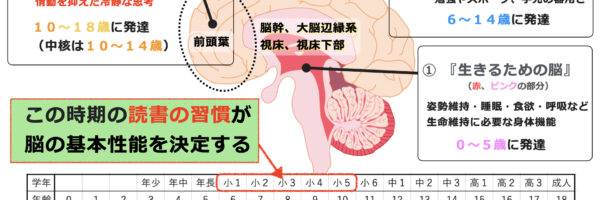 小１〜小５に読書をしよう！！