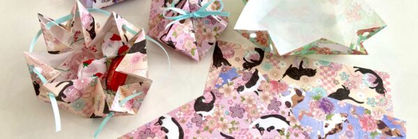 錯覚 / かわいい